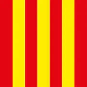 Rood/gele vlag 80x80 cm - KartKings