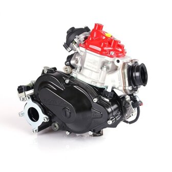 Rotax DD2 kale motor