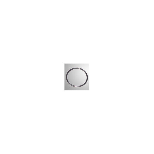 RK1 O-Ring Vergaser