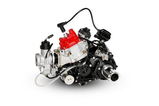Rotax max DD2 komplett
