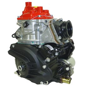 Rotax Mini Max Grünkohlmotor